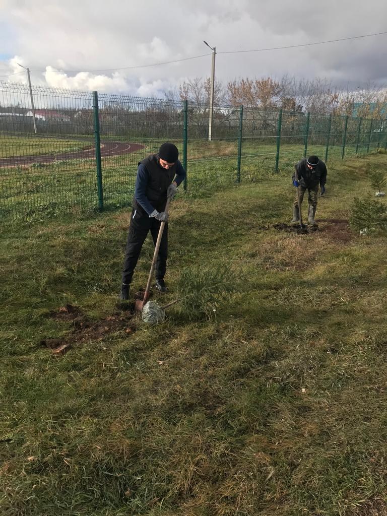 благоустройство села