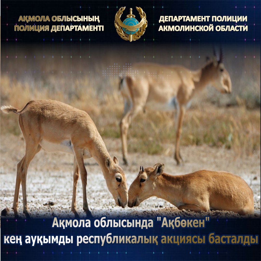 Ақмола облысында "Ақбөкен" кең ауқымды республикалық акциясы басталды