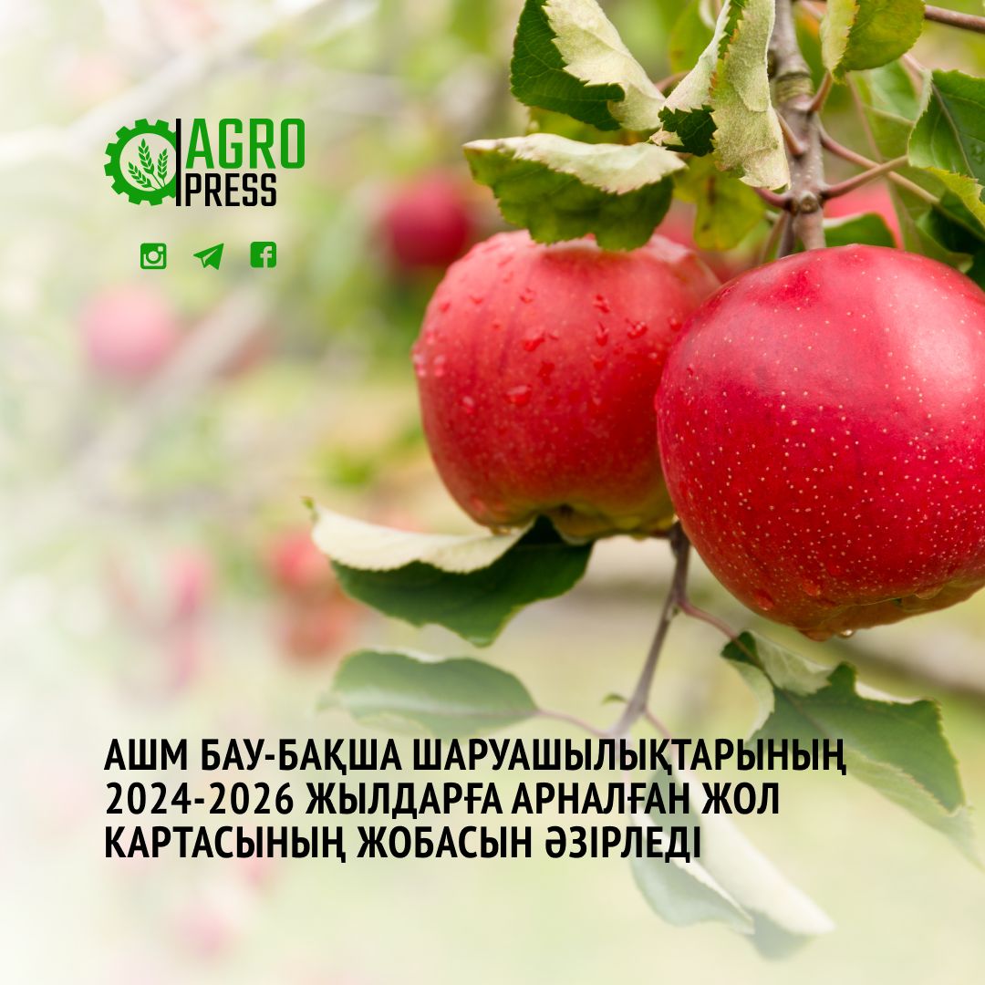 Неміс порно секс фильмдер Ана жыныстық қатынаспен