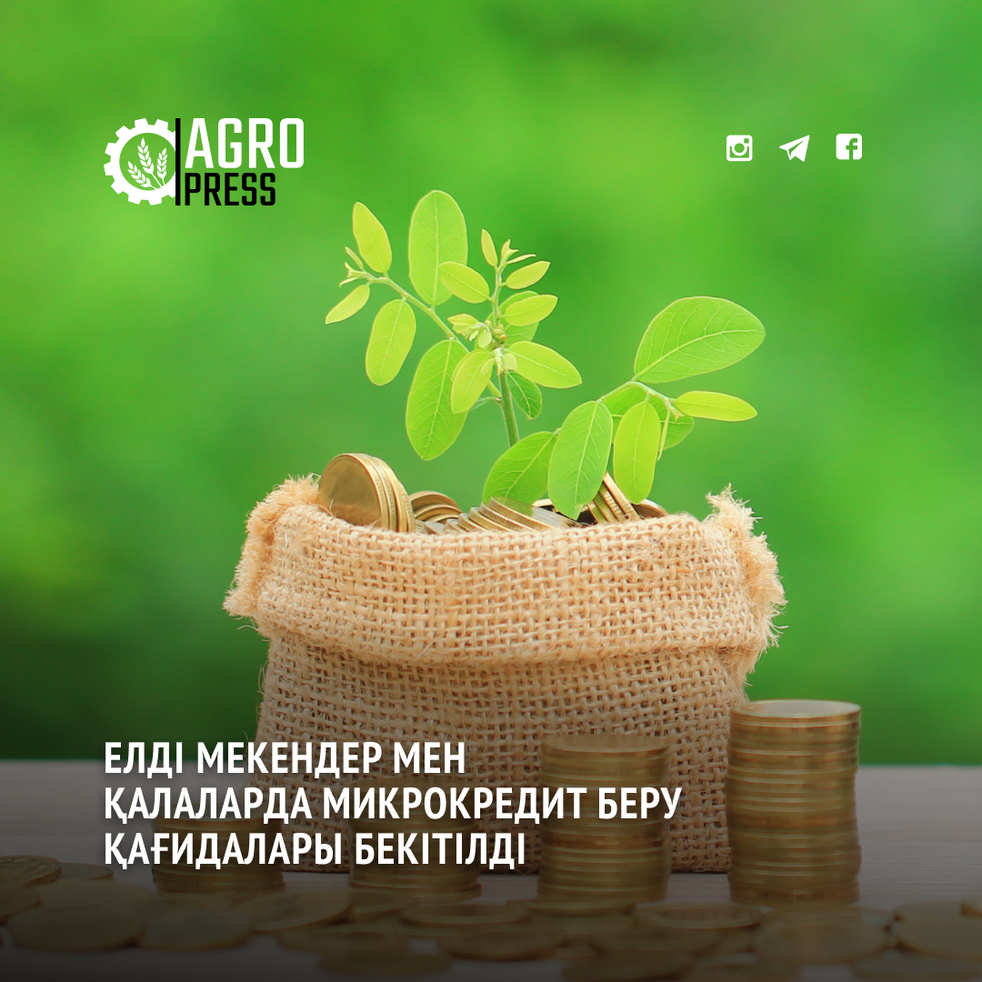 Елді мекендер мен қалаларда микрокредит беру қағидалары бекітілді
