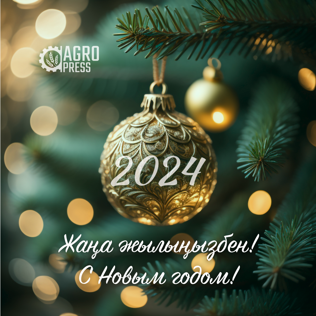 Жаңа - 2024 жыл құтты болсын!