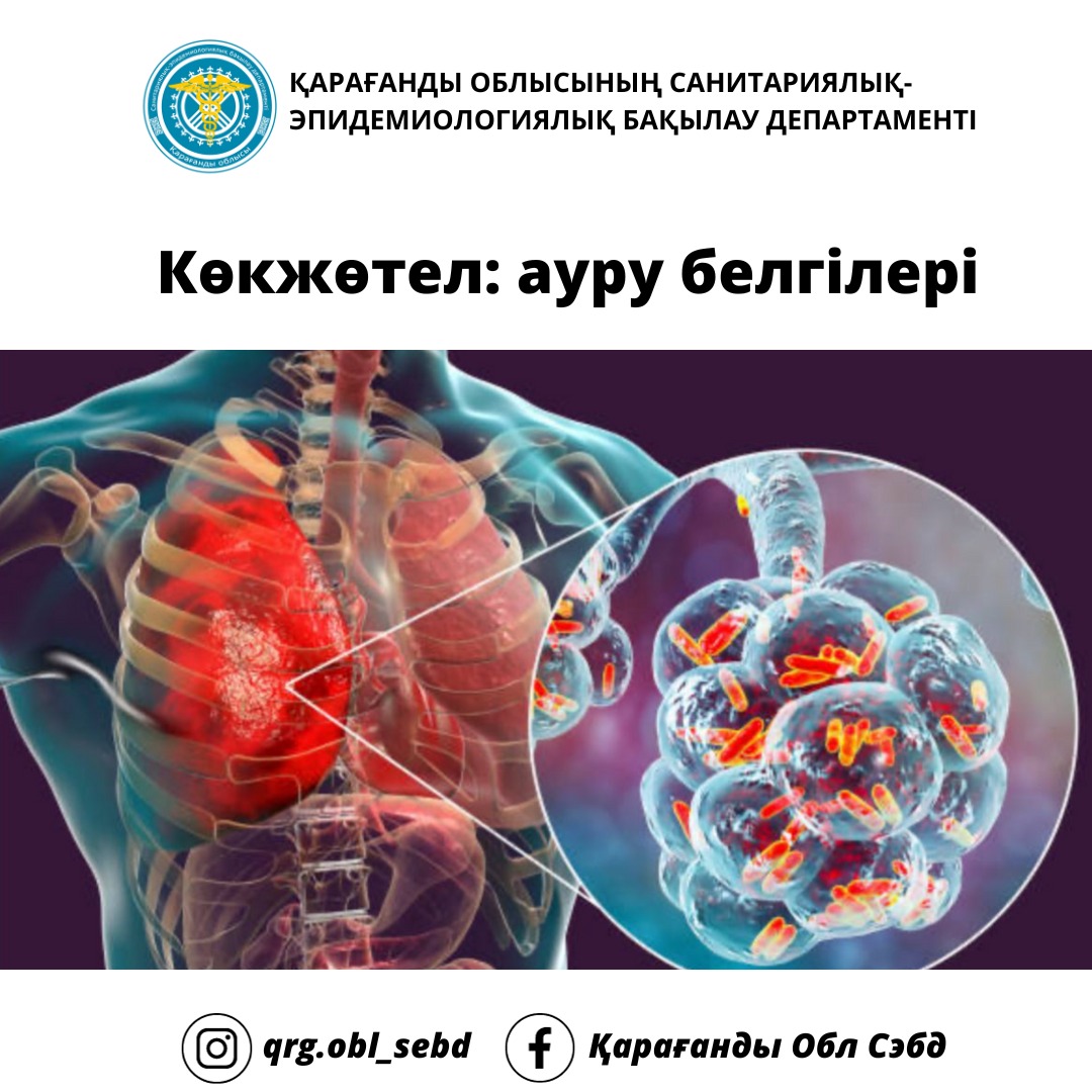 Көкжөтел: ауру белгілері