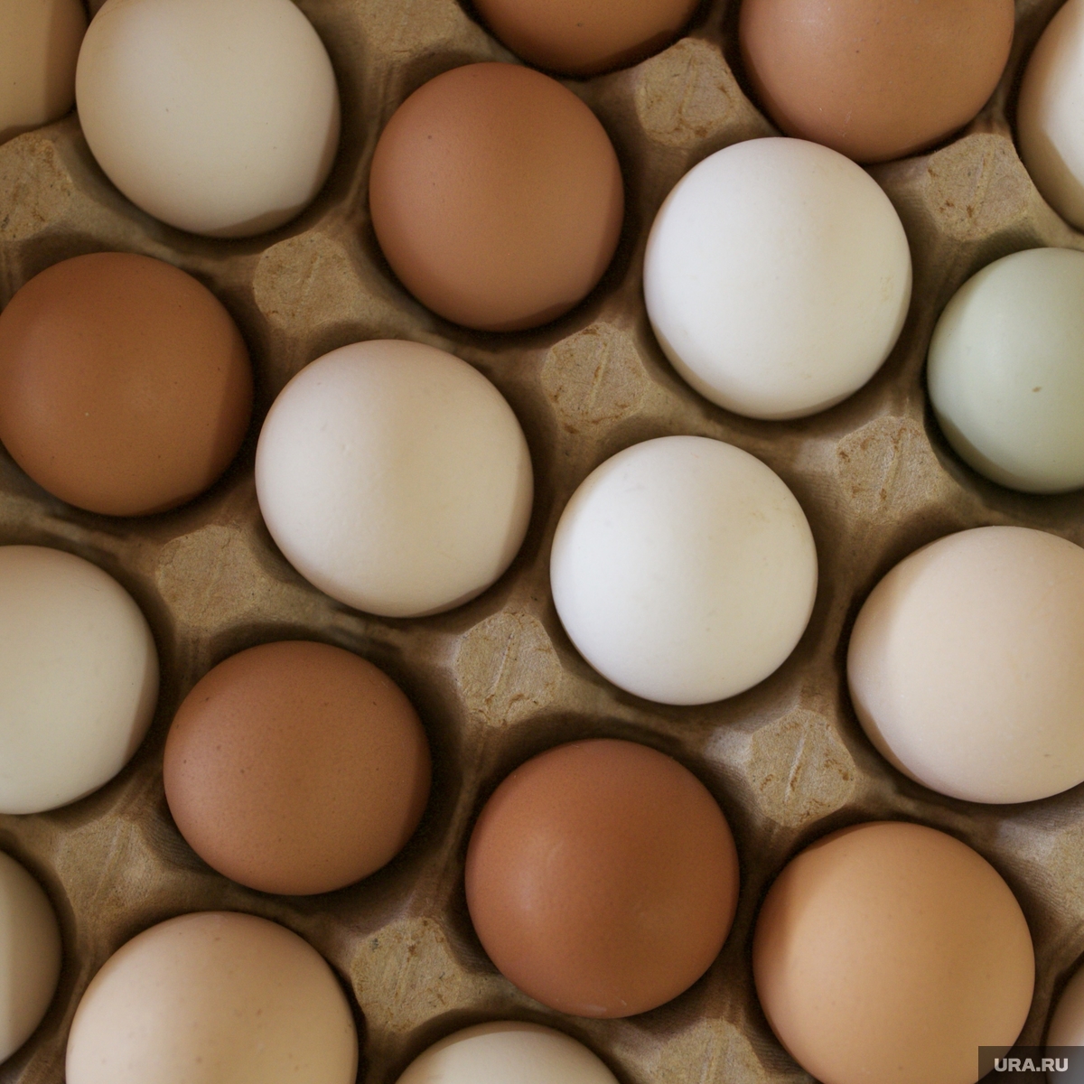 Large retail chains will reduce the trade mark-up on first-category eggs