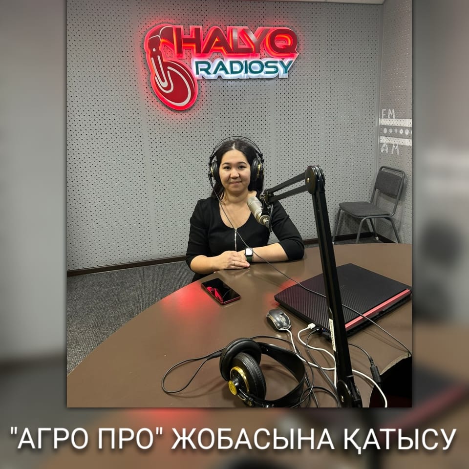 О реализации программы микрокредитования «Ауыл аманаты