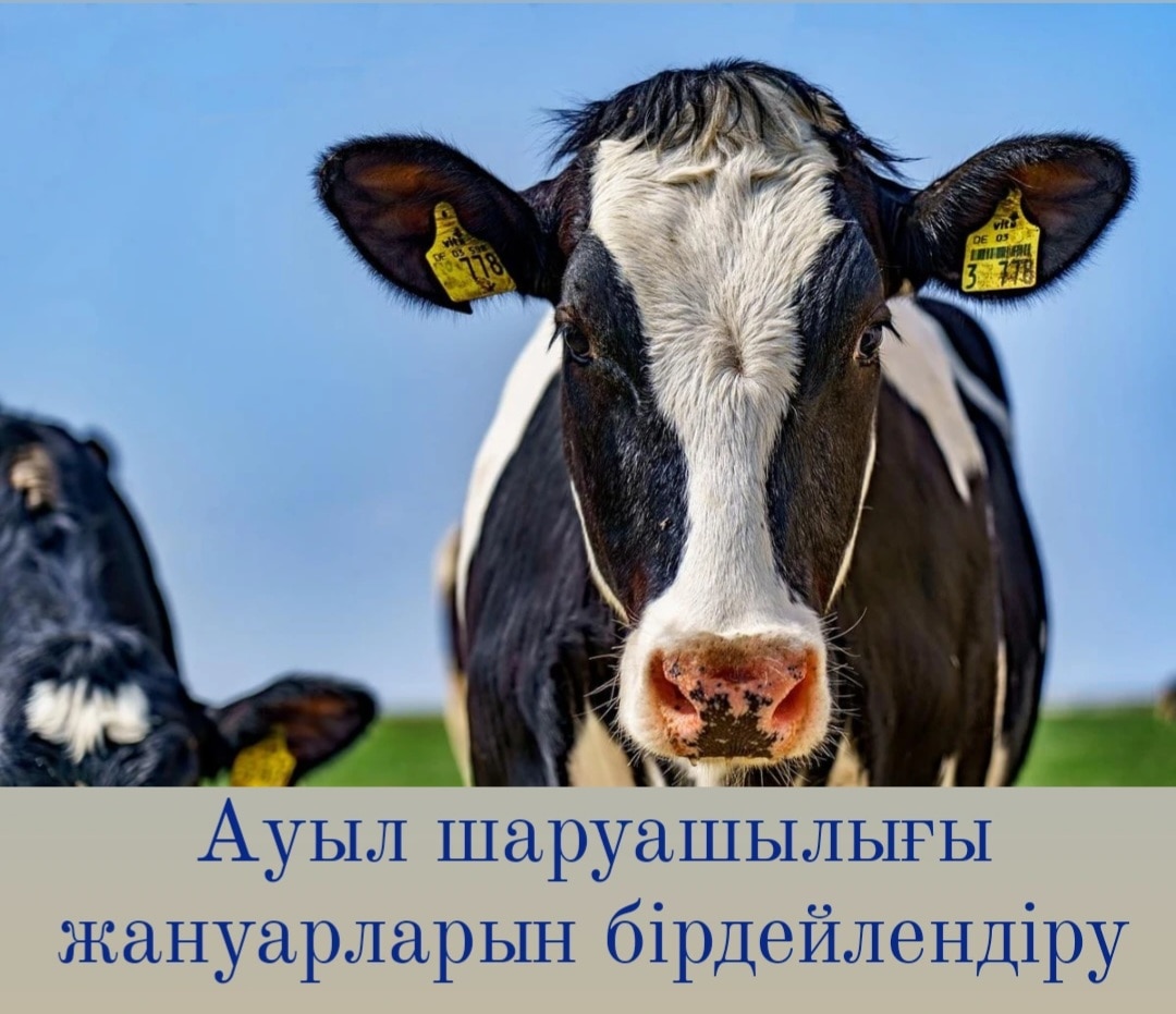 Джессика қоян және Макс Гуф порно ойындары