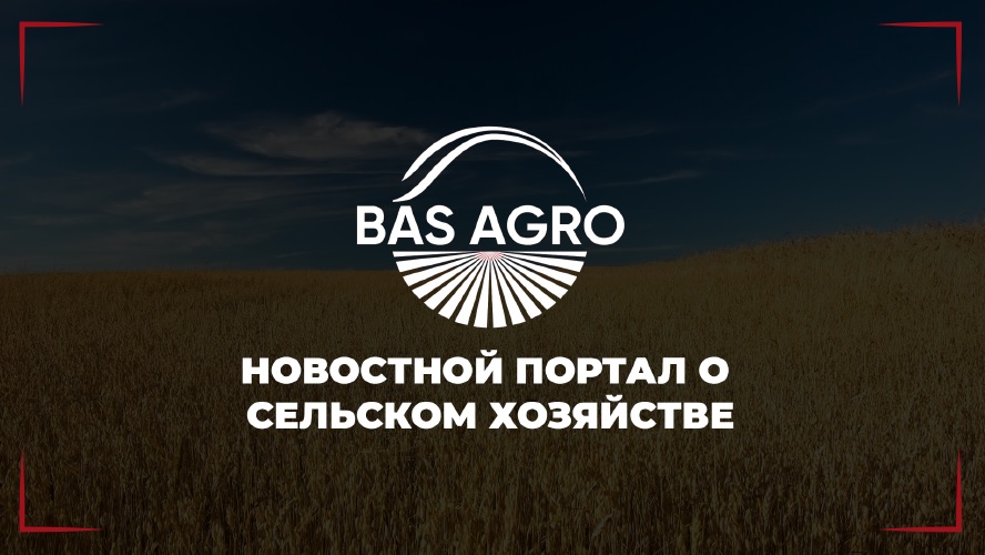Уважаемые предприниматели, топ-менеджеры, специалисты агропромышленной отрасли, жители сел и моногородов!