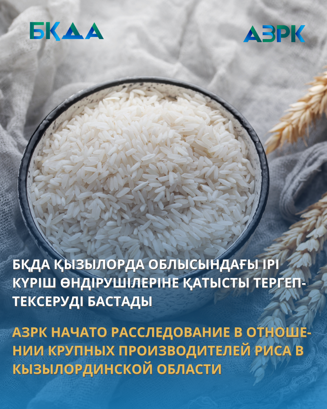 АЗРК НАЧАТО РАССЛЕДОВАНИЕ В ОТНОШЕНИИ КРУПНЫХ  ПРОИЗВОДИТЕЛЕЙ РИСА В КЫЗЫЛОРДИНСКОЙ ОБЛАСТИ