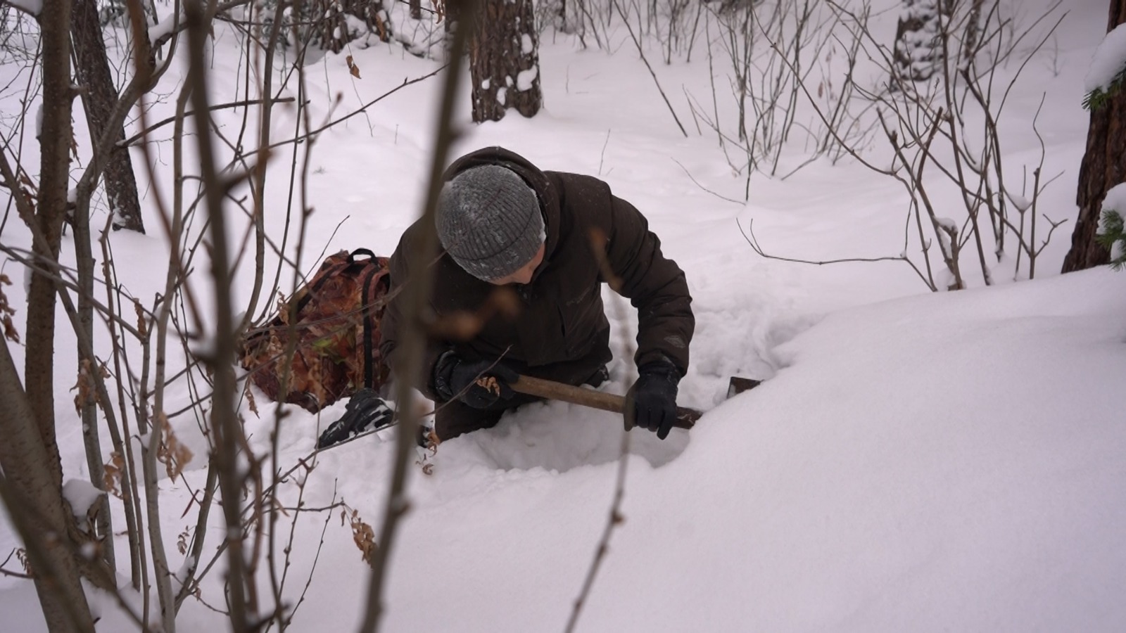Лайфхаки от спасателей : как выжить в зимнем лесу