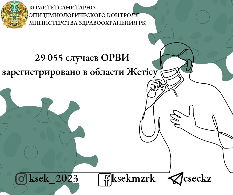 29 055 случаев ОРВИ зарегистрировано в области Жетісу