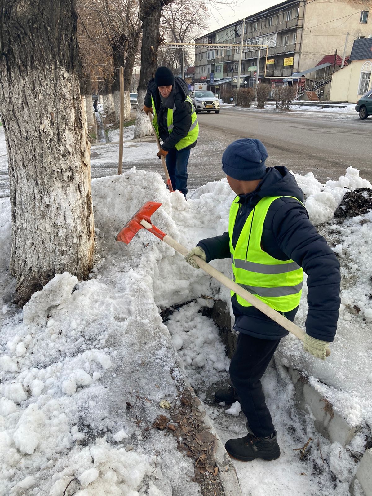 Алматы облысы ТЖД халыққа өтініш жасады