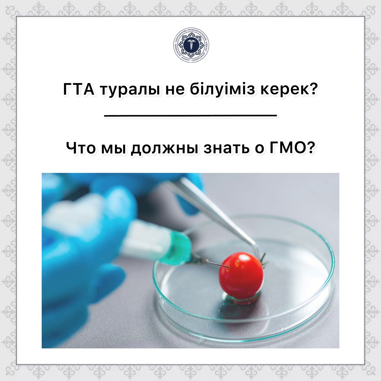 Что мы должны знать о ГМО?