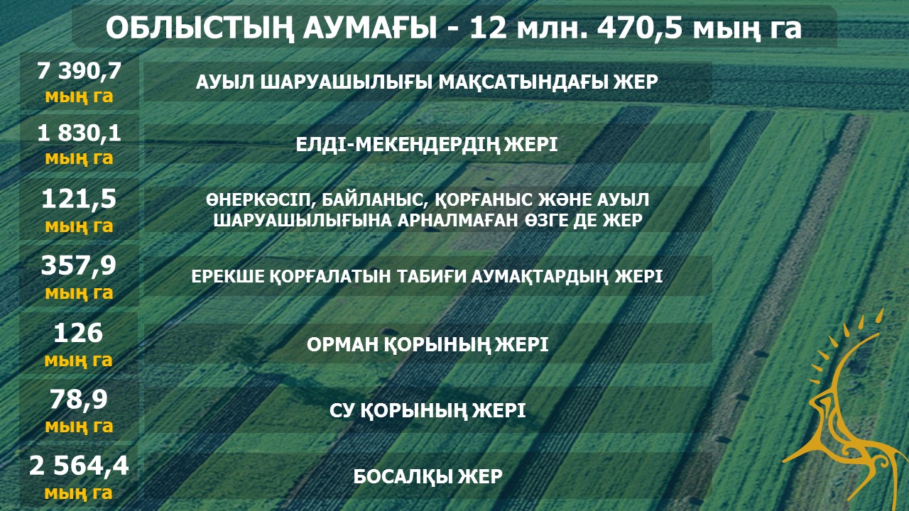 Ең жақсы шұлық порно