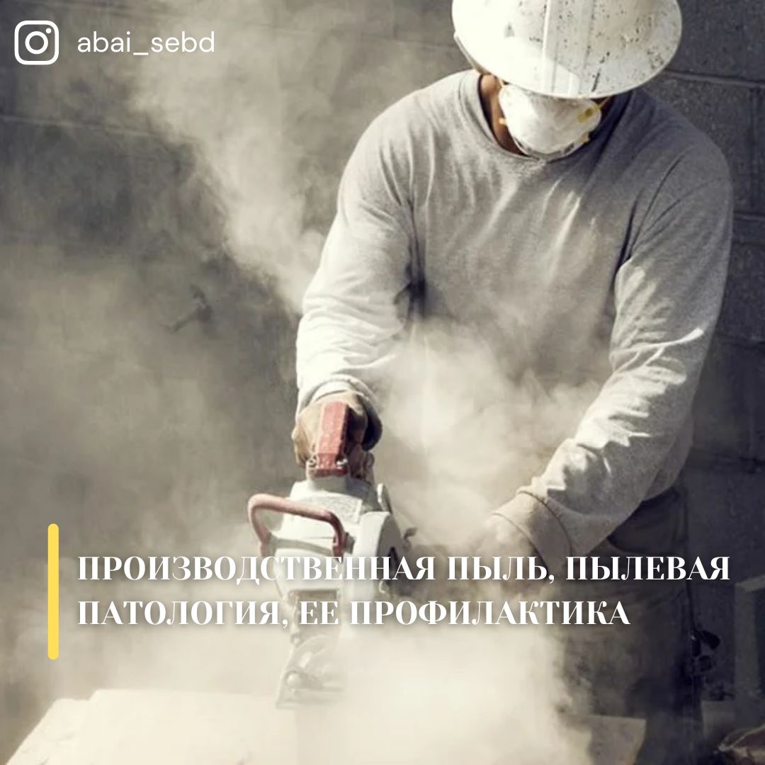 Производственная пыль, пылевая патология, ее профилактика