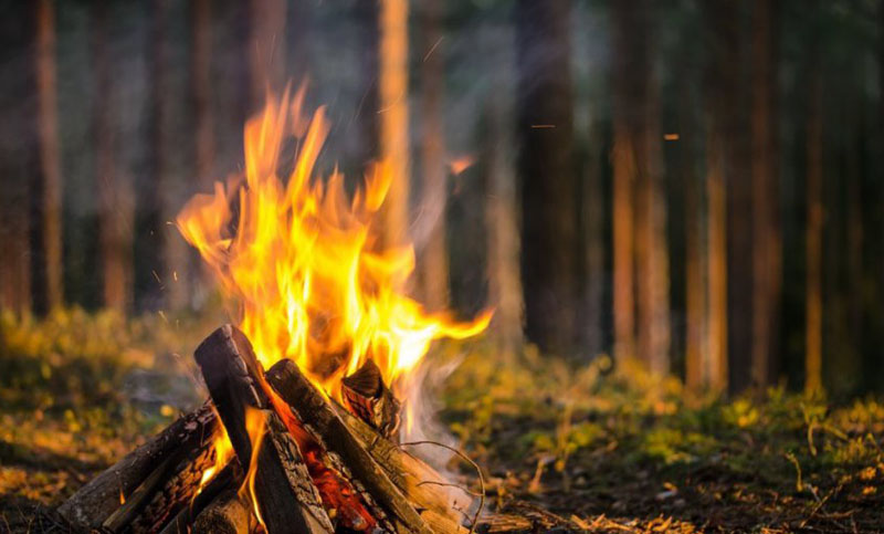 Элиталық порно фильмдерді онлайн көріңіз