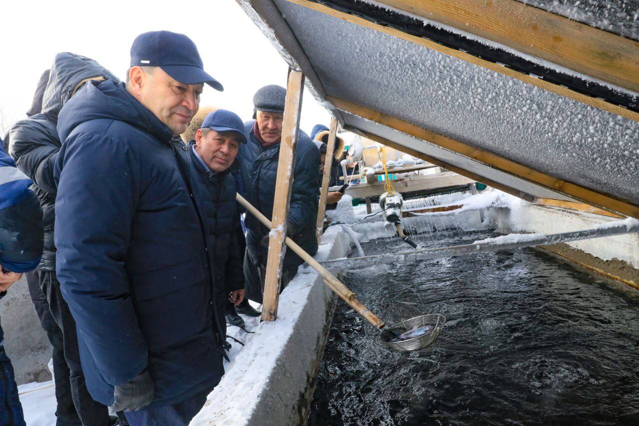 Нетрадиционные виды сельского хозяйства развивают в Каргалинском районе в рамках проекта «Ауыл аманаты»
