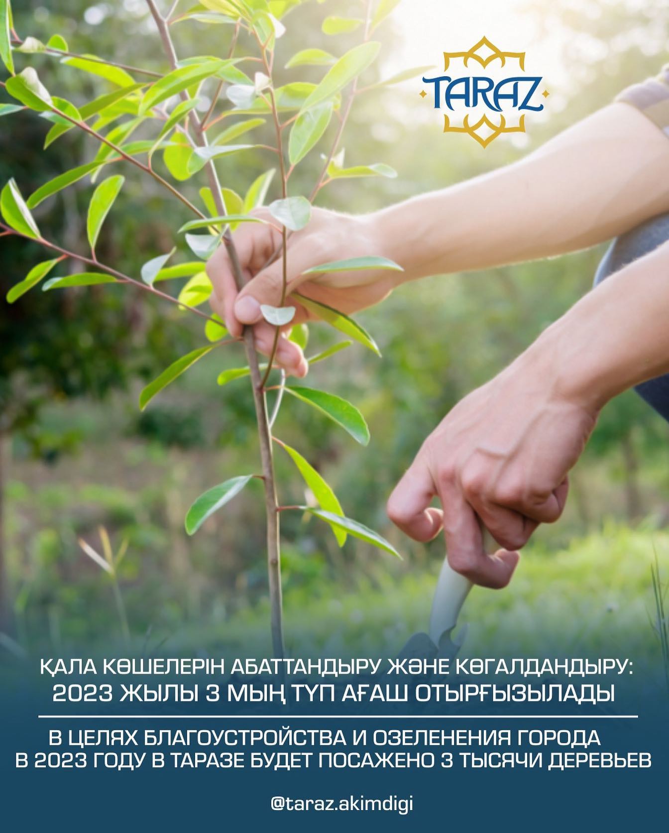 Адамдардың өздерін сорып жатқан суреттері