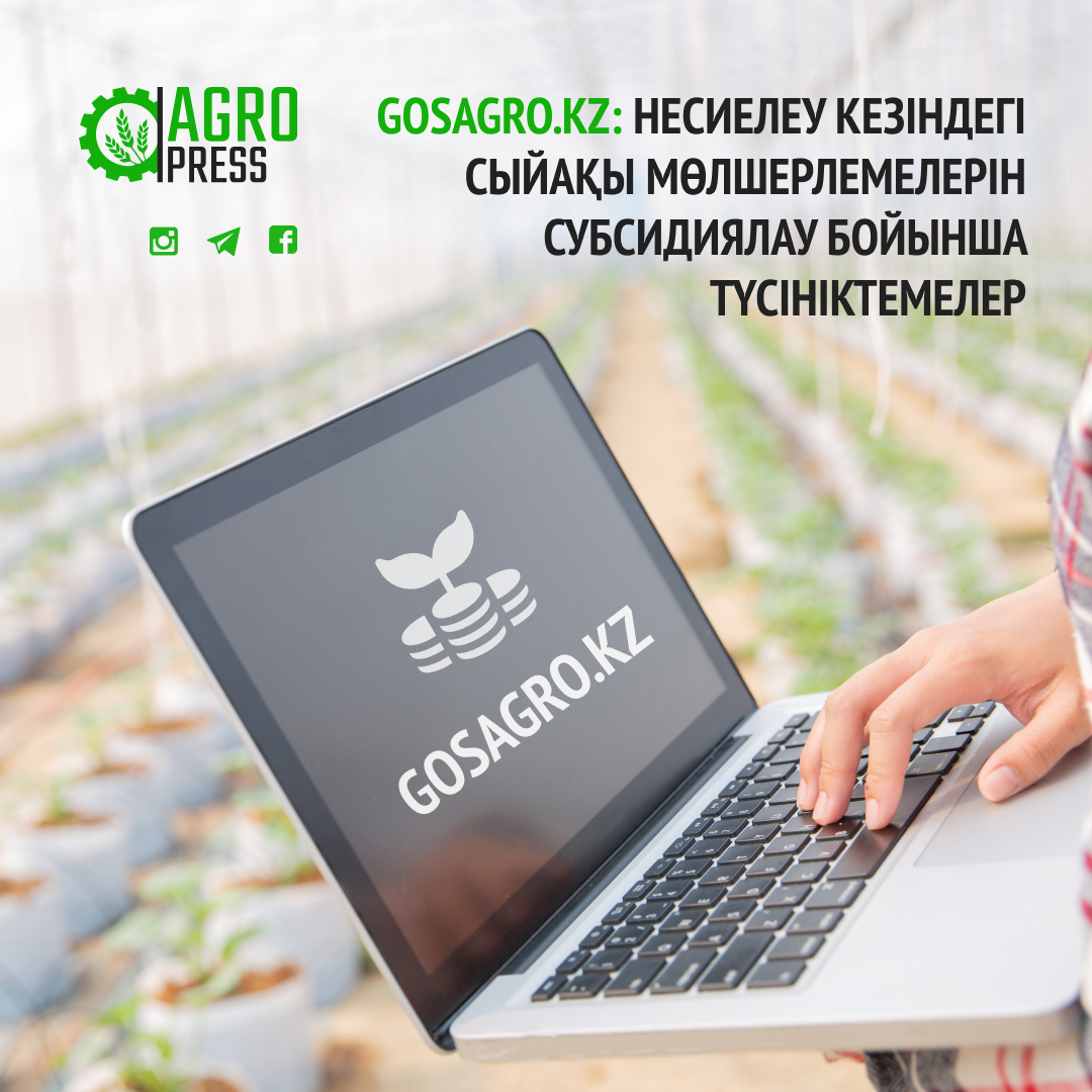 Gosagro.kz: Несиелеу кезіндегі сыйақы мөлшерлемелерін субсидиялау бойынша түсініктемелер