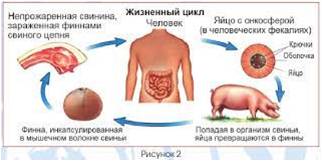Кәрілер порно жастарды трахают