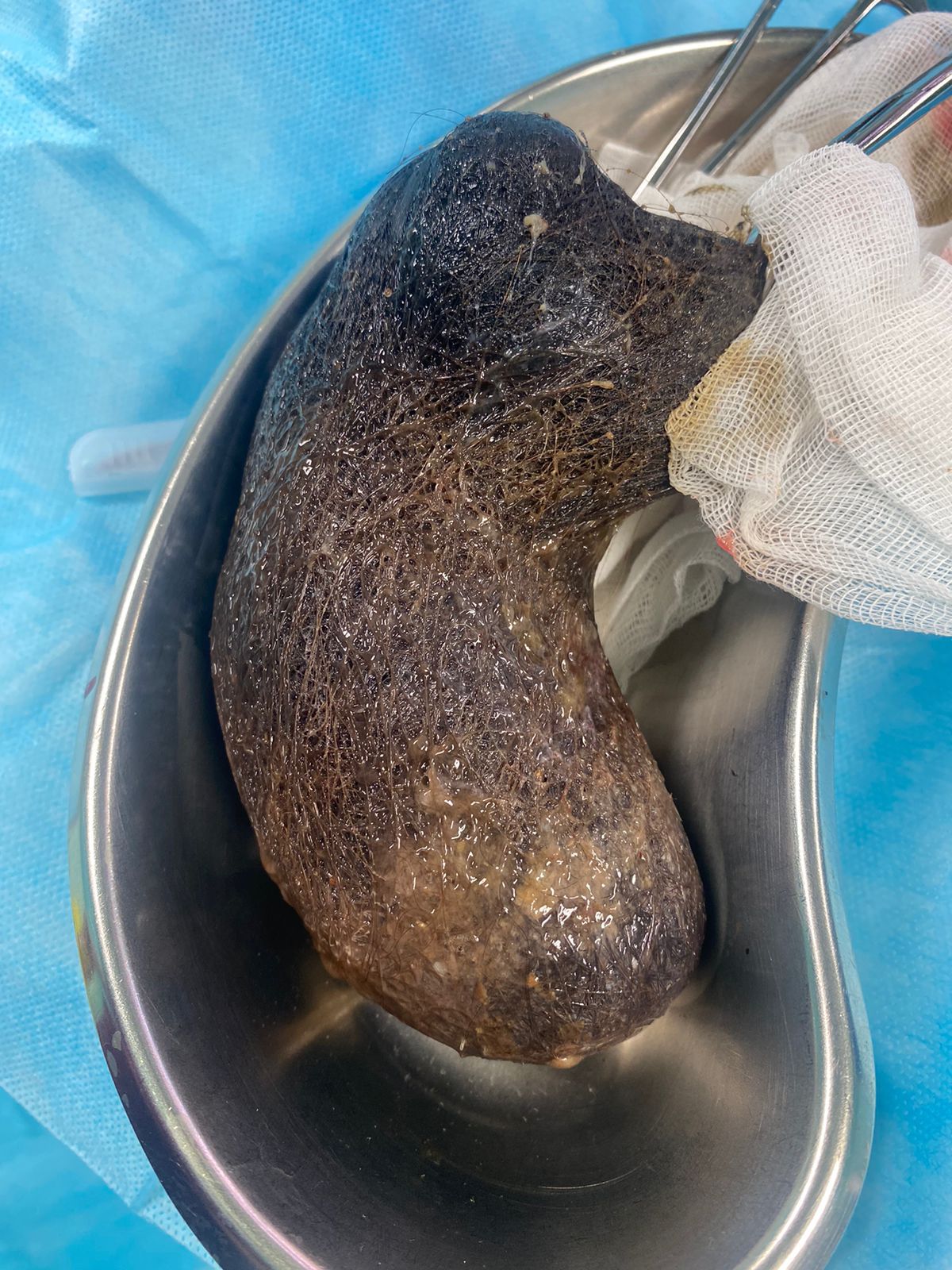 Дәрігердің әйелі Цензурасыз жапондық ана порносын қараңыз