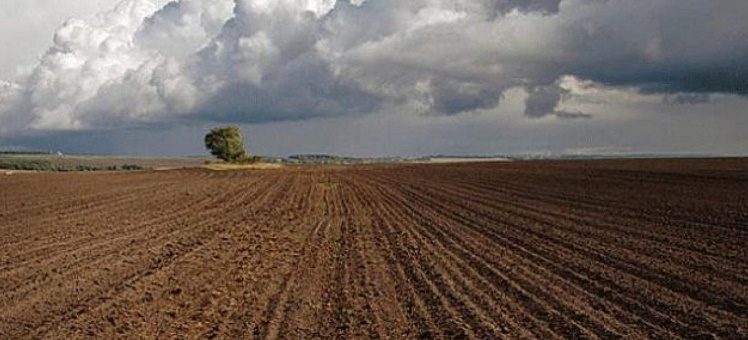 2023 жылғы 24 наурызда сағат 11-00-де Панфилов аудандық әкімдігі шаруа және фермер қожалықтарының ауыл шаруашылығы өндірісі үшін жер учаскелеріне өтеулі жер пайдалану (жалға алу) құқығын беру бойынша конкурс өткізеді