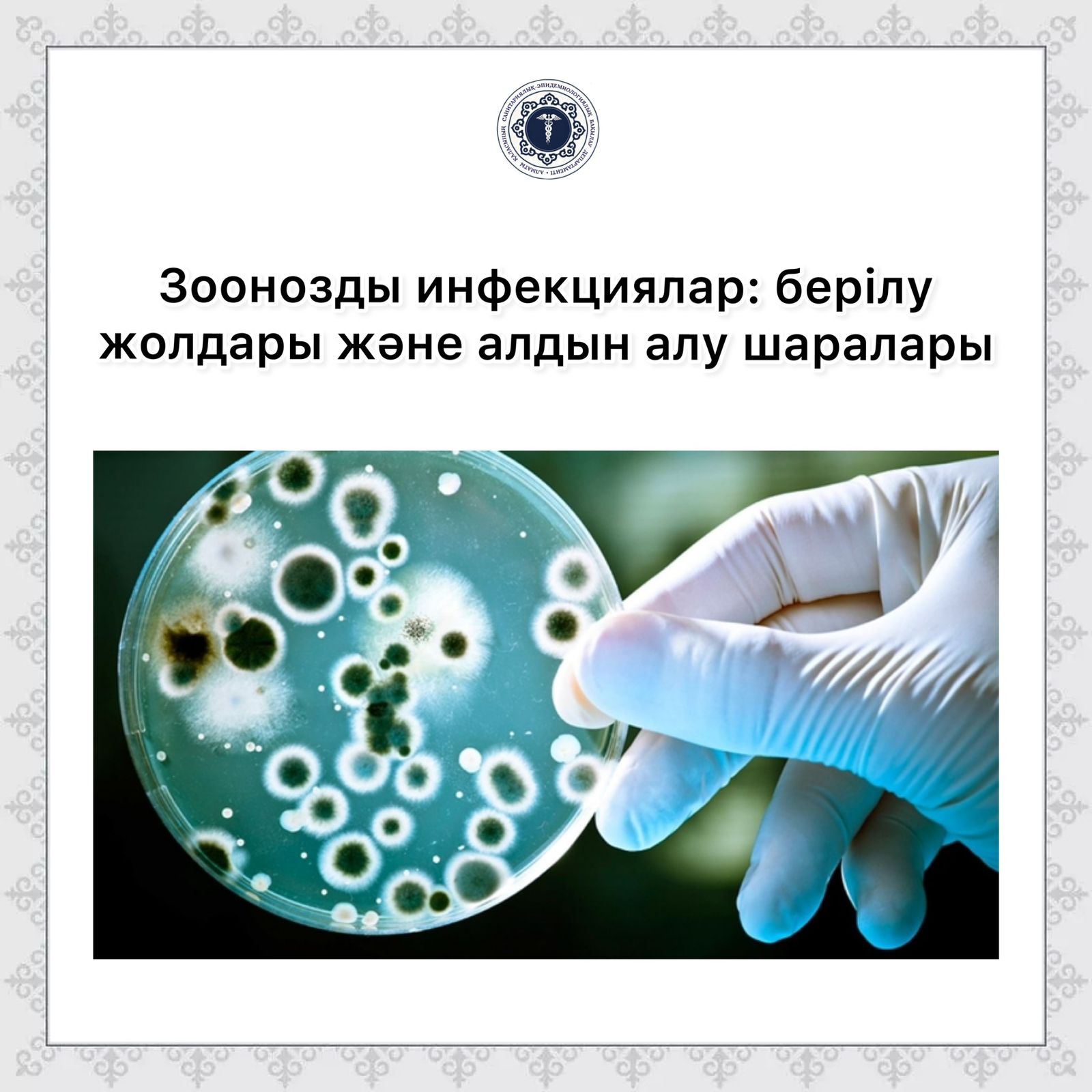 Жетілген әйелдің уретрасының жалаңаш фотосессиясы