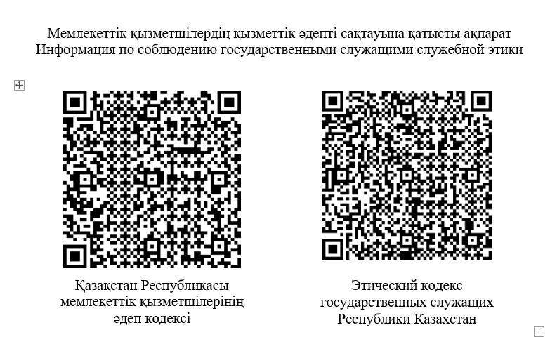 Информация по соблюдению государственными служащими служебной этики