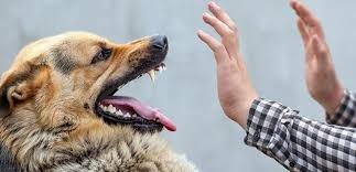 Ақшақар және жеті гномдар порно мультфильмінің толық нұсқасын онлайн көріңіз