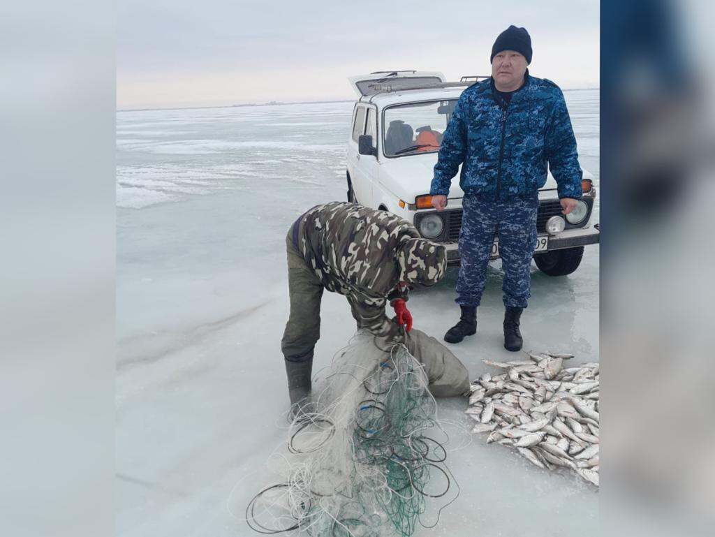 Браконьера с сетью и уловом задержали на озере Балхаш