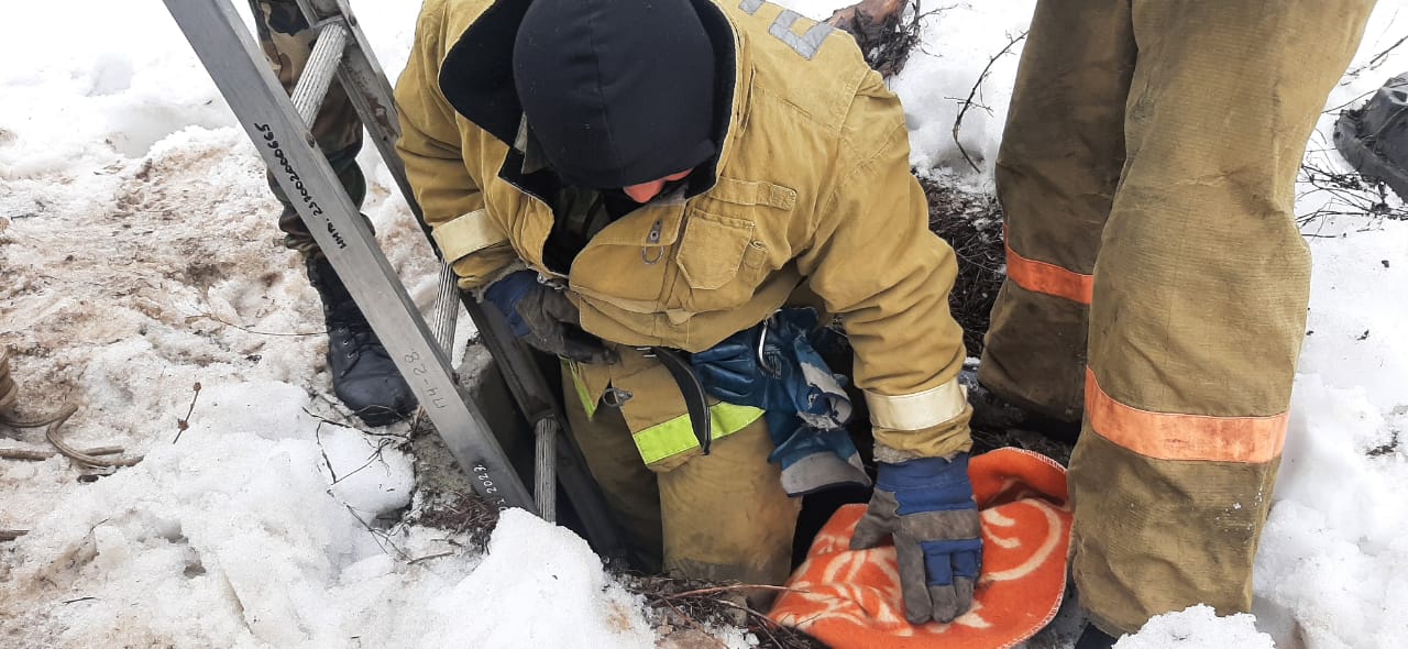 Упавшей в колодец собаке пришли на помощь спасатели ВКО