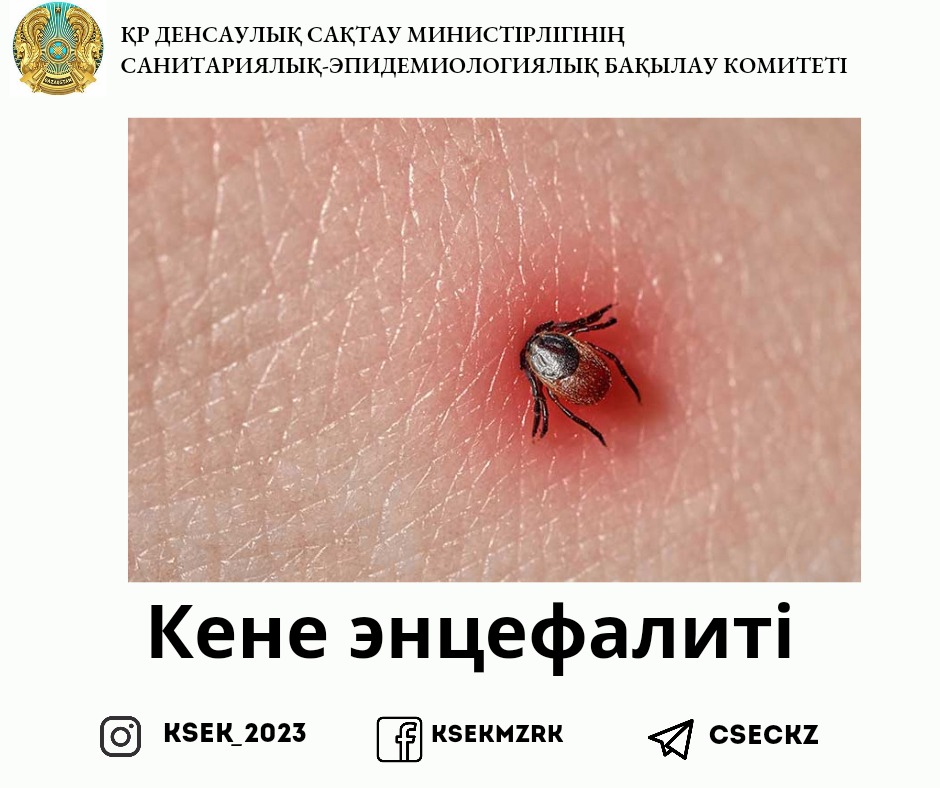 Кәдімгі жалаңаш қыздың видеосы