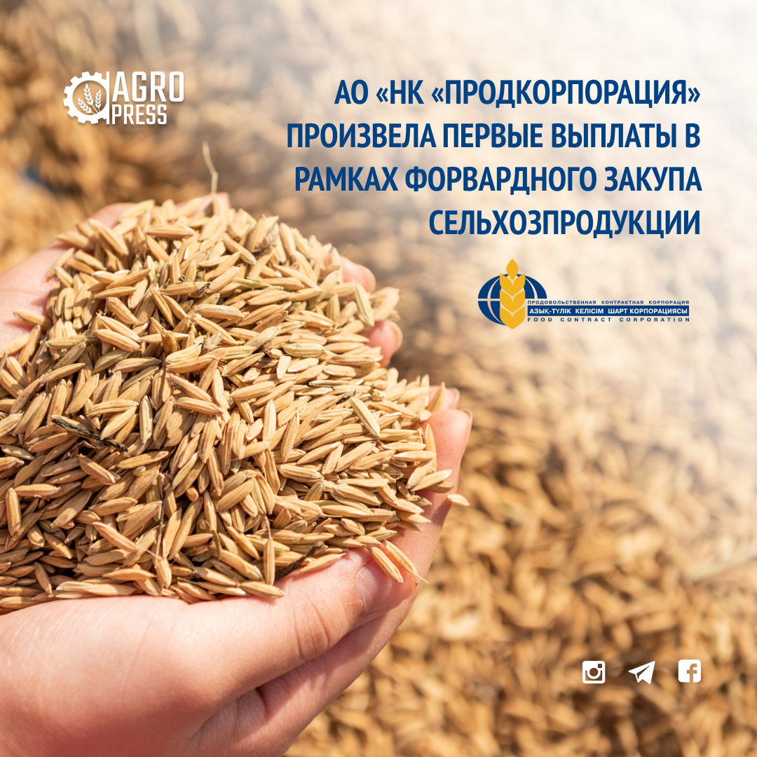 АО «НК «Продкорпорация» произвела первые выплаты в рамках форвардного закупа сельхозпродукции