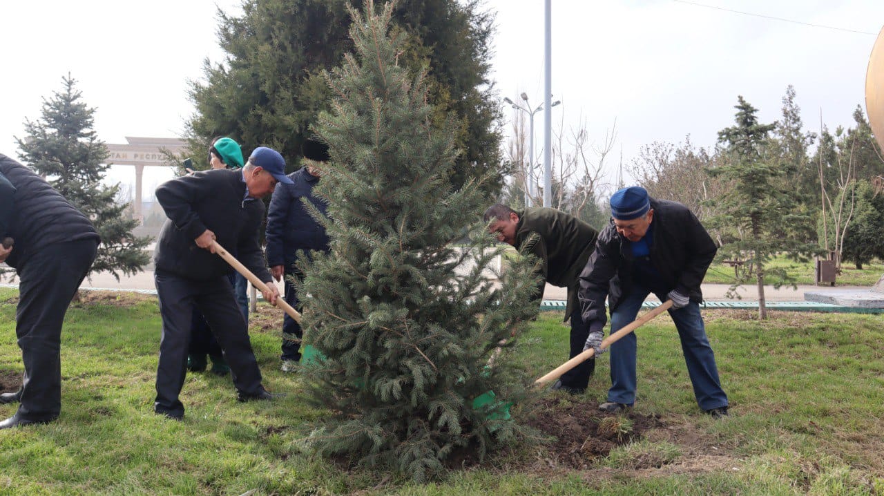 Ағаш көшеттері отырғызылып, қоқыстар тазаланды