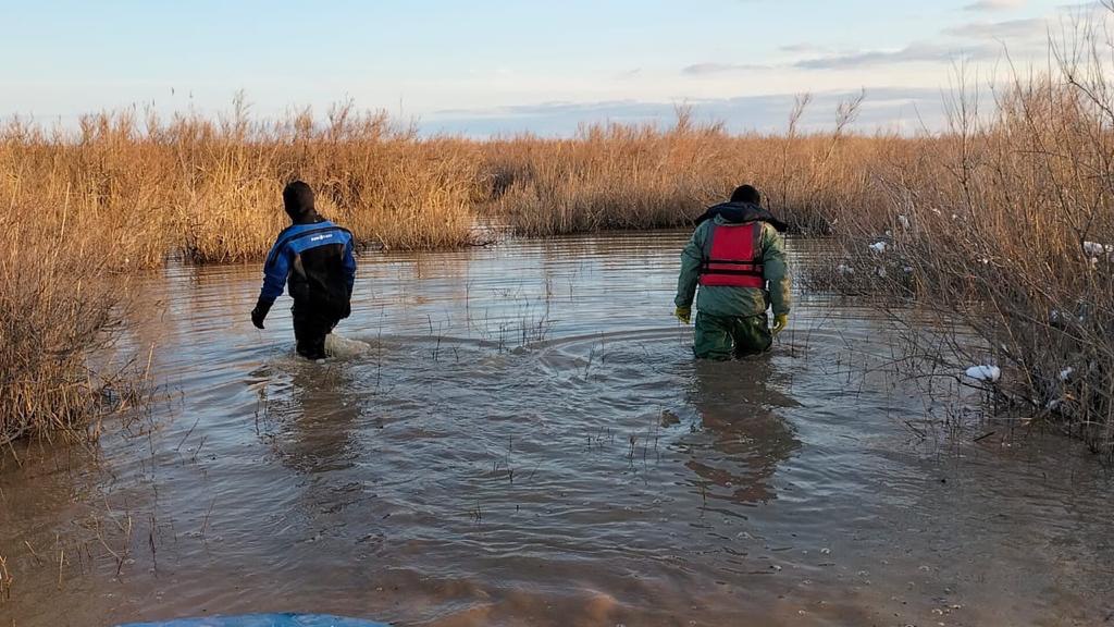 Бәйдібек ауданында жоғалып кеткен аңшыны іздестіру жұмыстары тынымсыз жалғауда