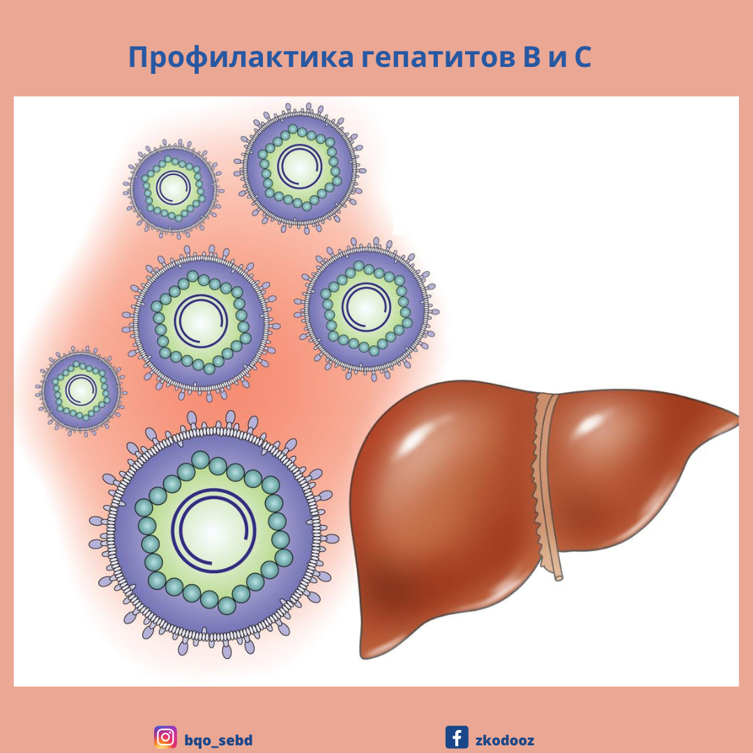 Вирусные гепатиты. Вирусный гепатит б. Вирус гепатита б. Гепатит б 2024