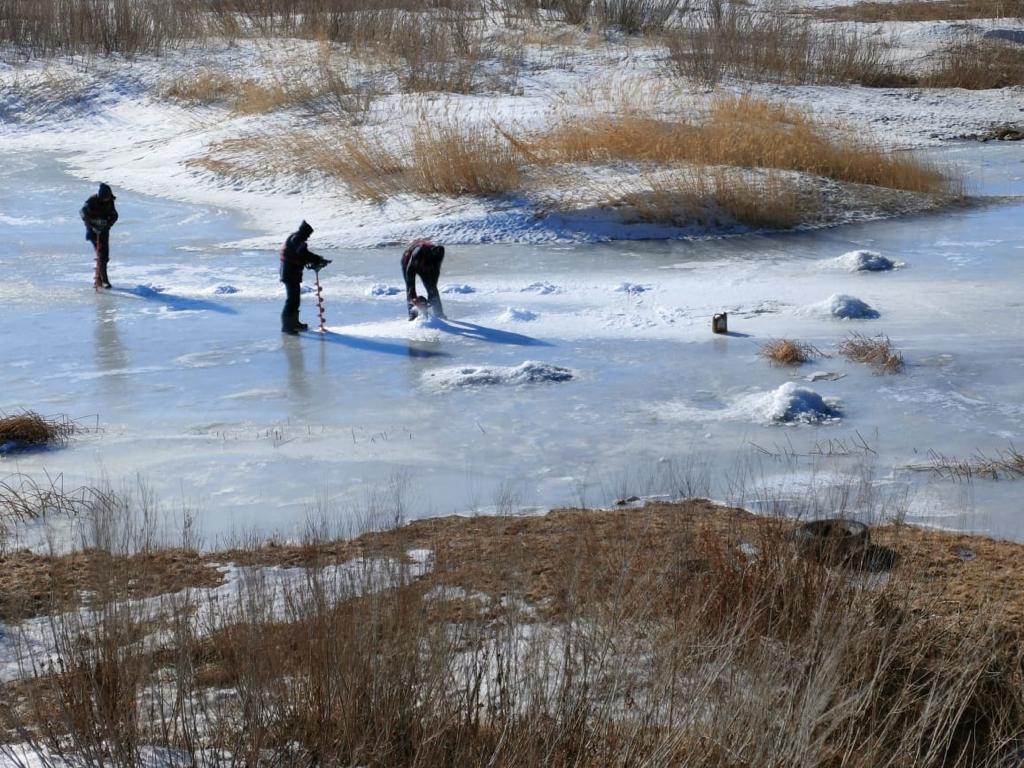 Секс порно видео үй 2 орыс безплотно