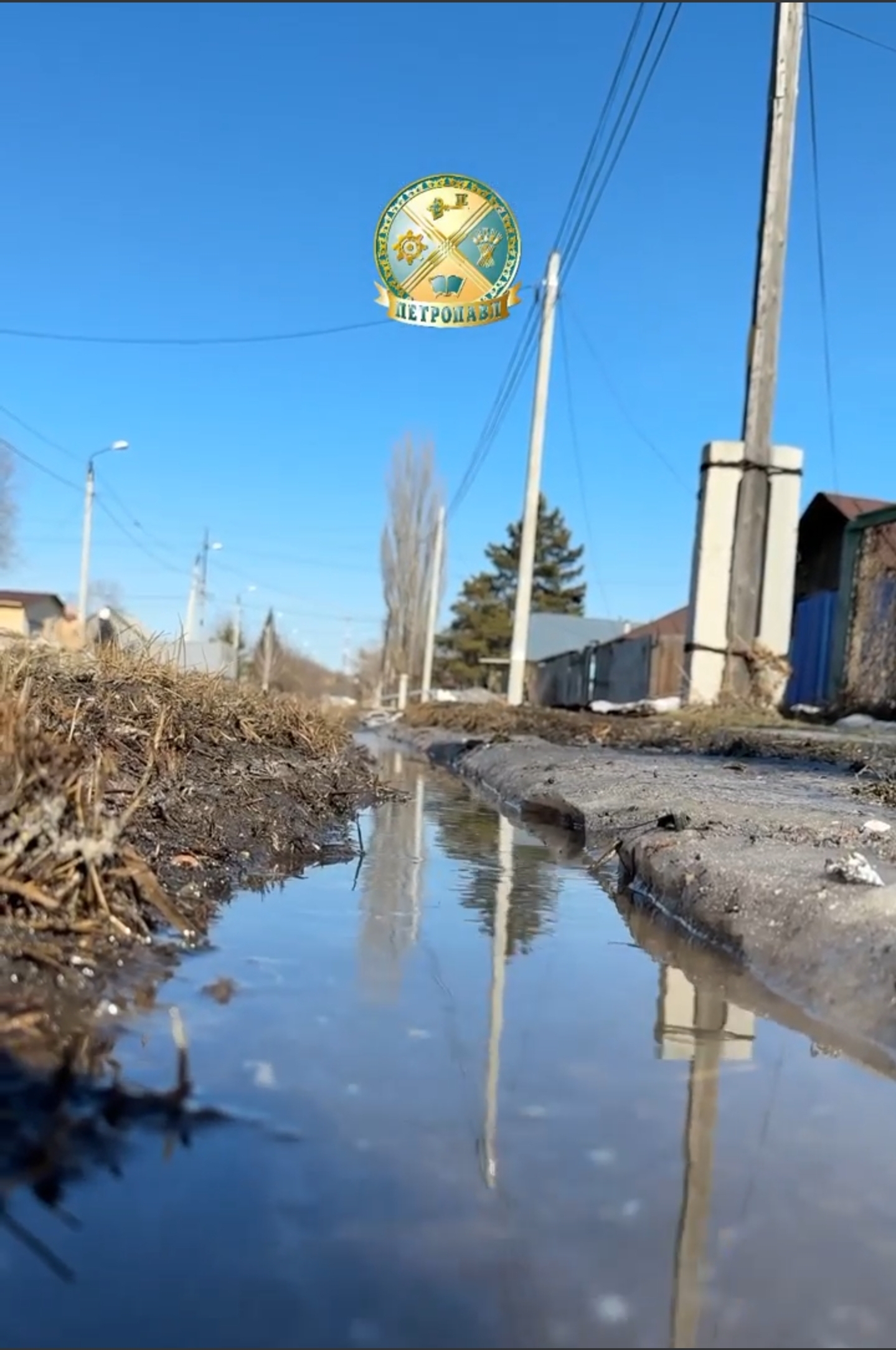 Түрік эротикасы киска жалау Шашты дәретханадағы порнокамера