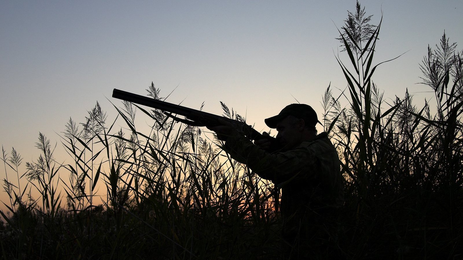 Весенний сезон охоты в Карагандинской области откроется в апреле