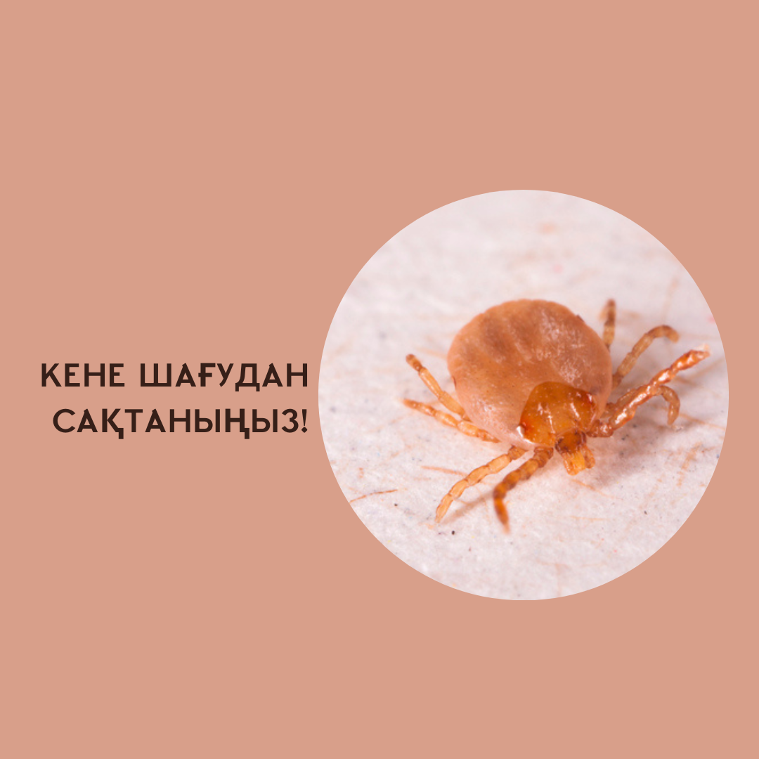 Конго-Қырым геморрагиялық қызбасы