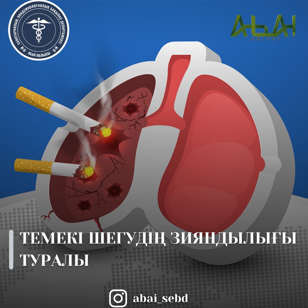 Темекі шегудің зияндылығы туралы