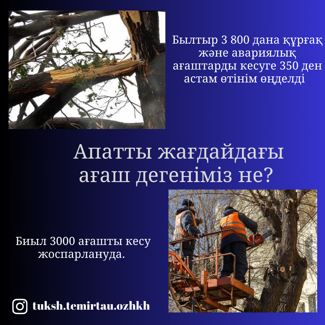 Порно мұғалімнің құлы