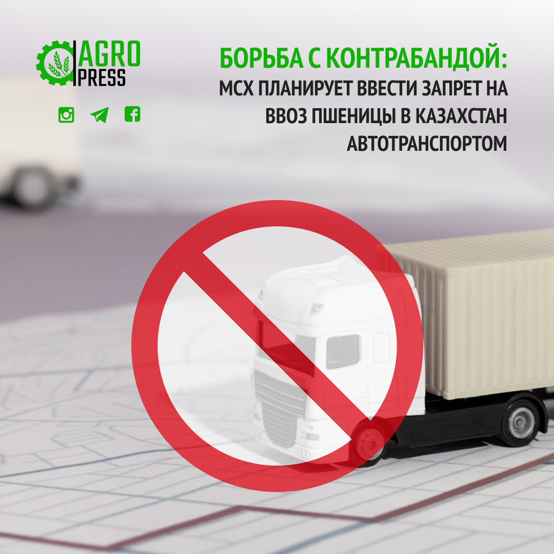 Борьба с контрабандой: МСХ планирует ввести запрет на ввоз пшеницы в Казахстан автотранспортом