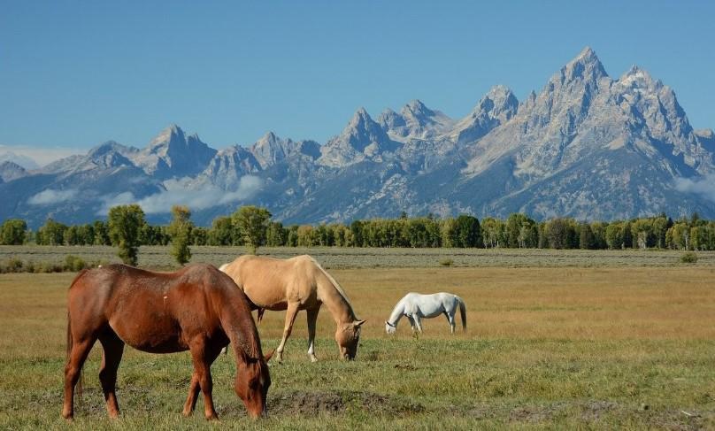 Сперматозоидпен жабылған порнофотосуреттер Әйелді алдау туралы әуесқойлық секс видео