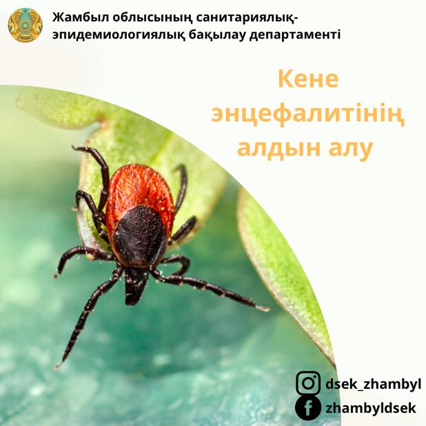 Родокс ретро порно фотосуреттері