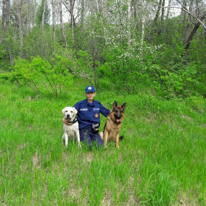 Секс мультфильмі қызды трахает