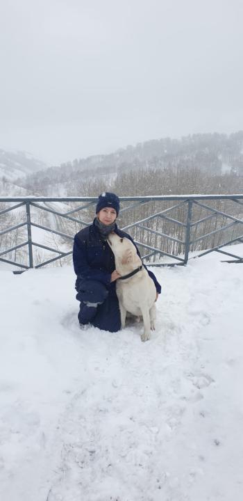 Төрт аяқты ерлер