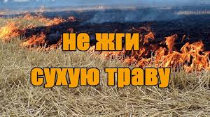 The department of Emergency Situations reminds not to burn dry vegetation and garbage