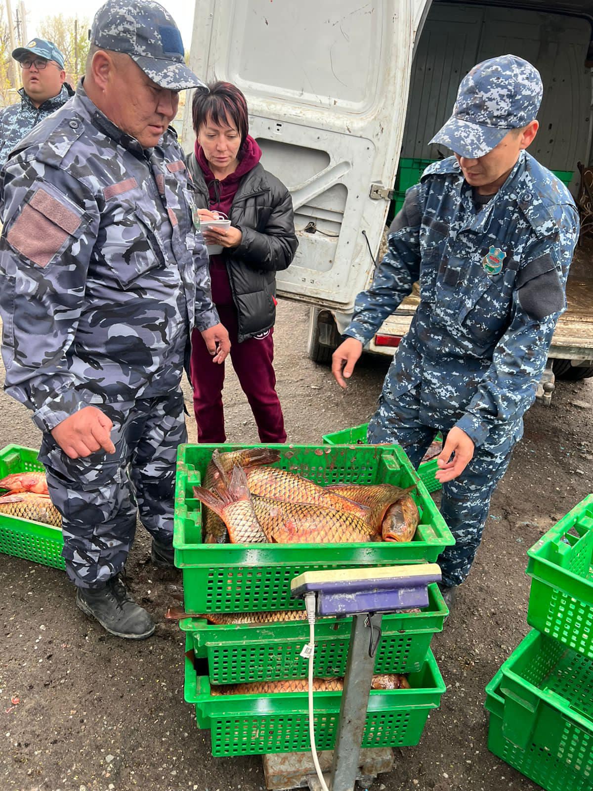 «Уылдырық шашу-2023» балық қорғау акциясы