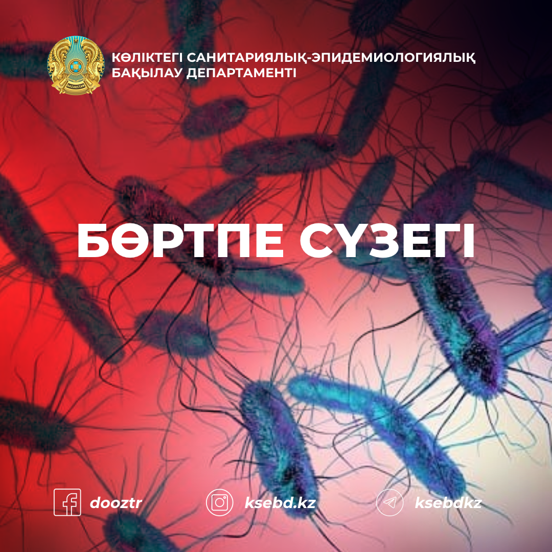 Менің хит және порно