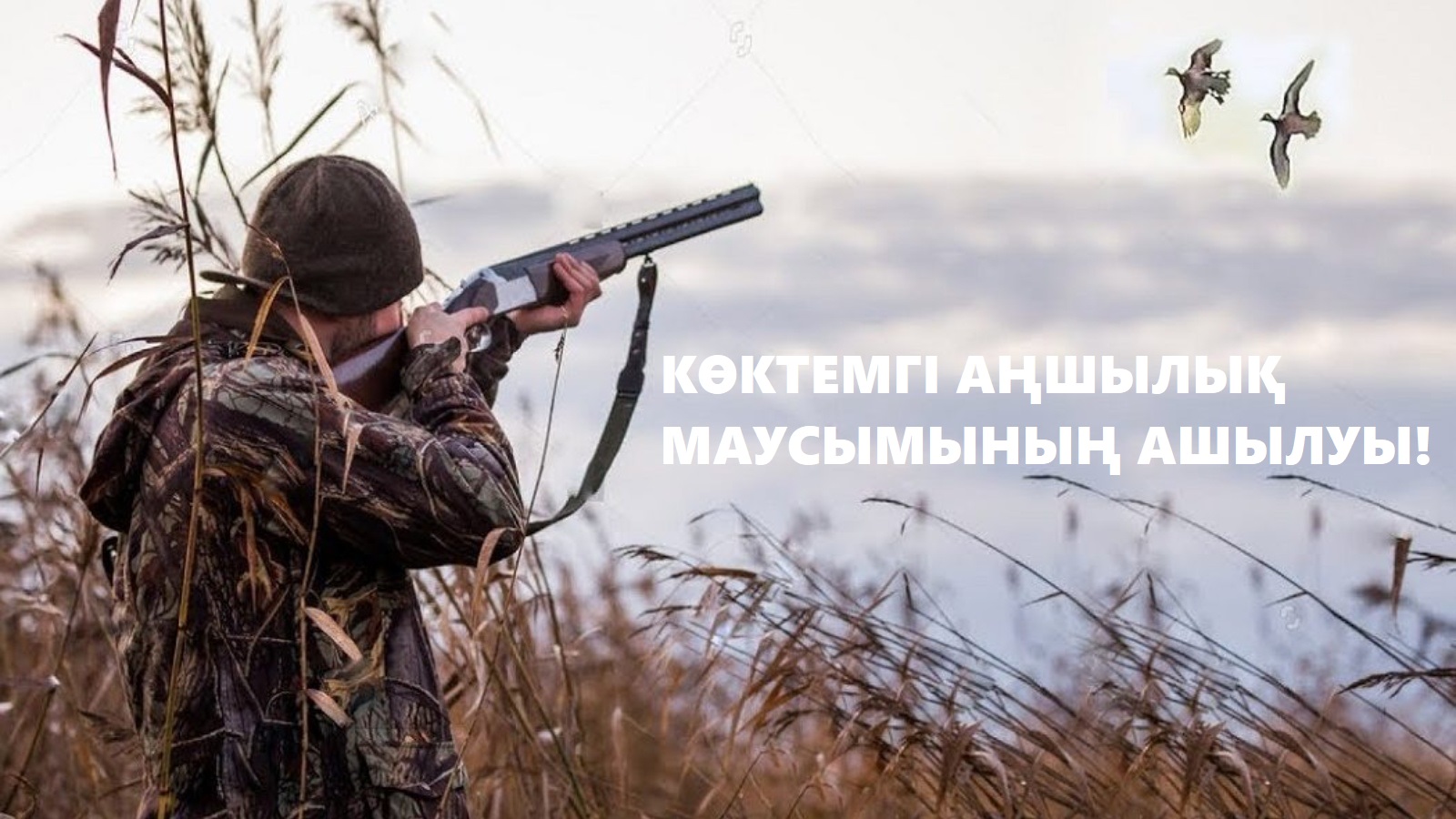 Жыныстық аң аулау Жыныстық аң аулау