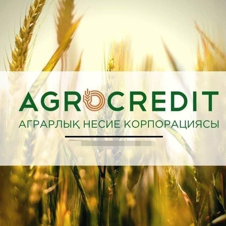 Жастарға арналған 2,5 пайыздық несие: Өтінім қабылдау басталды